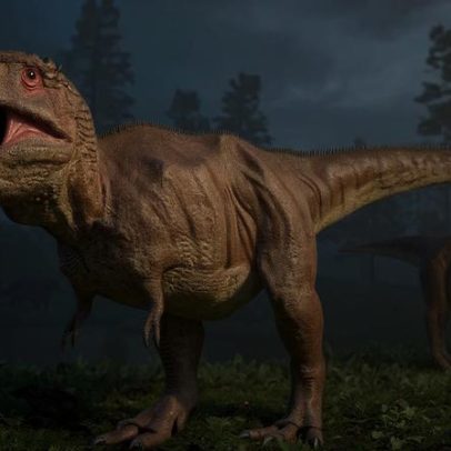 Novo estudo explica por que o T. rex tinha bracinhos pequenos