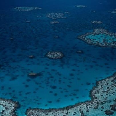 Homem morre após ataque de tubarão no Great Barrier Reef, Queensland