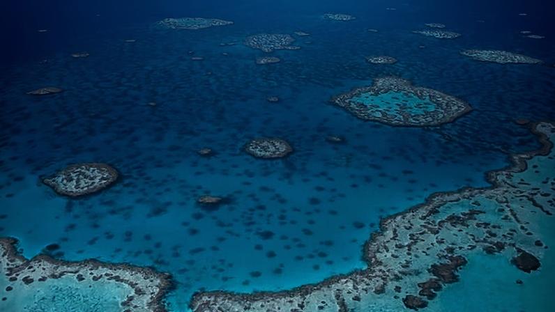 Stock image of the Great Barrier reef. The man was reportedly fishing at Kennedy Shoal, a shallow reef about 50km off the coast of Tully in far north Queensland.