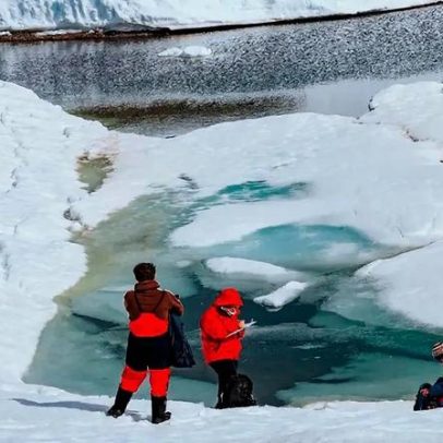 Bactérias da Antártica ajudam a entender reversão do envelhecimento
