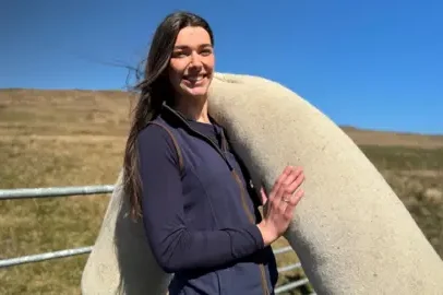Solução com ovelhas para os pântanos de turfa da Irlanda do Norte