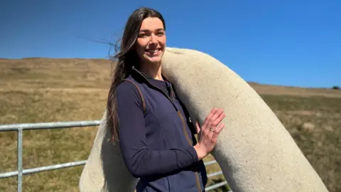 Solução com ovelhas para os pântanos de turfa da Irlanda do Norte