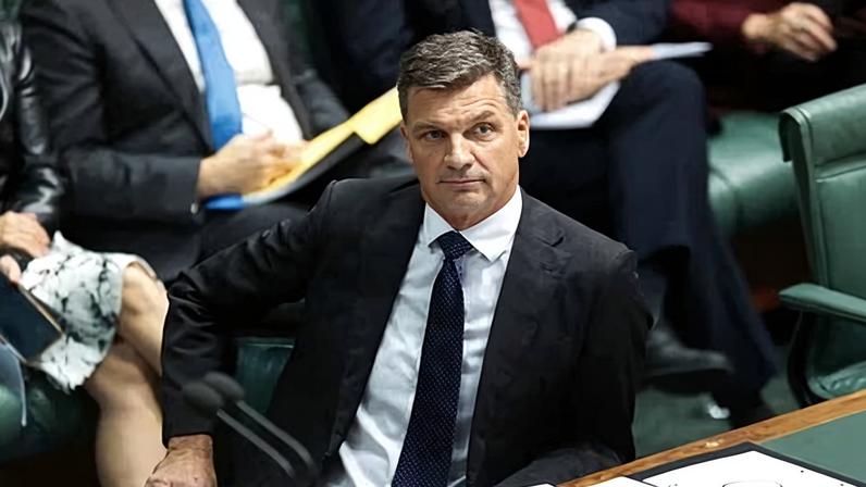 Deputado afirma que Partido Liberal está corroído pelo ódio e emite alerta sobre imigração