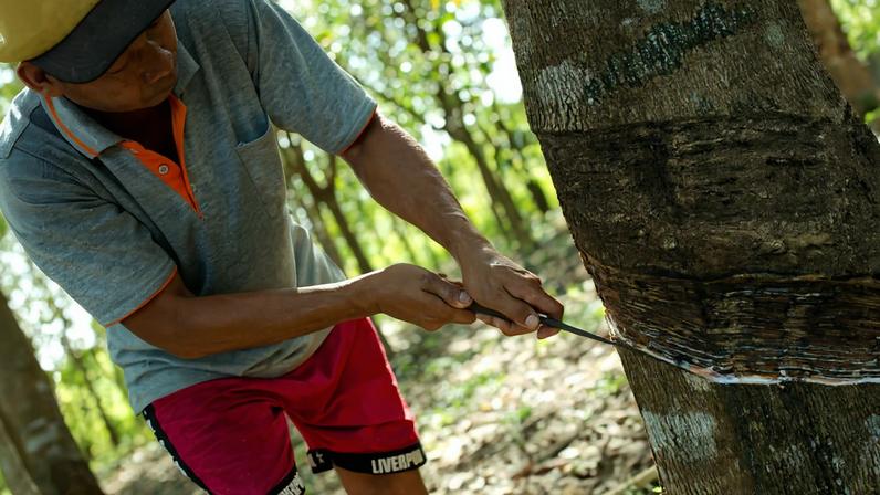 Fabricantes de pneus prontos para EUDR, mas atrasos frustram setor