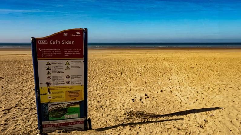 Centenas de tubarões e peixes mortos aparecem em duas praias no País de Gales
