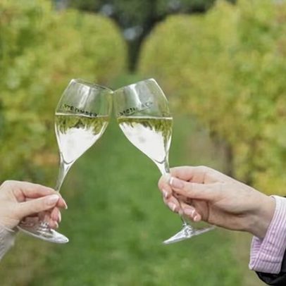 Vinhos ingleses conquistam recorde de medalhas de ouro