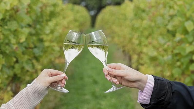 Vinhos ingleses conquistam recorde de medalhas de ouro