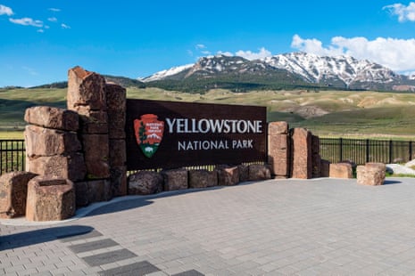 Dois caminhantes feridos em ataque de urso na trilha de Yellowstone