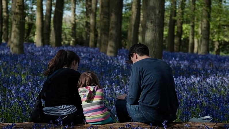 A family enjoying time outside at Ashridge Woods in Buckinghamshire.