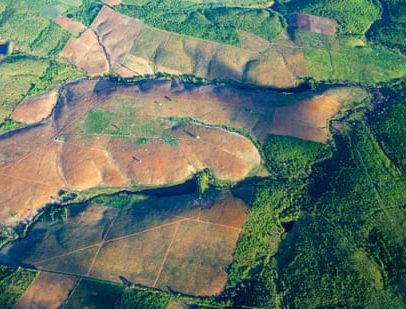 Florestas Atlânticas do Brasil registram menor desmatamento em 40 anos