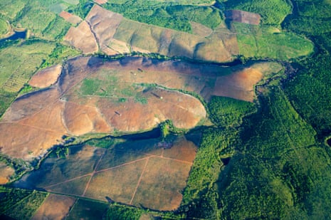 Florestas Atlânticas do Brasil registram menor desmatamento em 40 anos