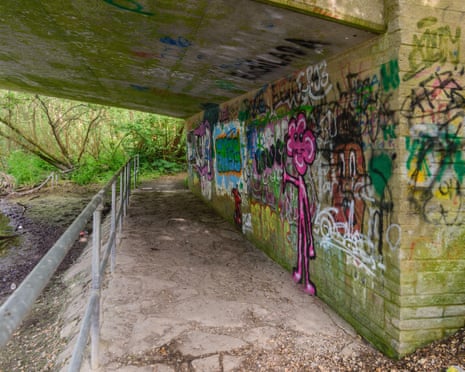 An underpass in Fordingbridge, Hampshire, identified as the scene of one of the teenagers’ attacks.
