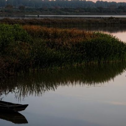 Recuperação de marismas não compensa destruição de wetlands antigos, diz estudo