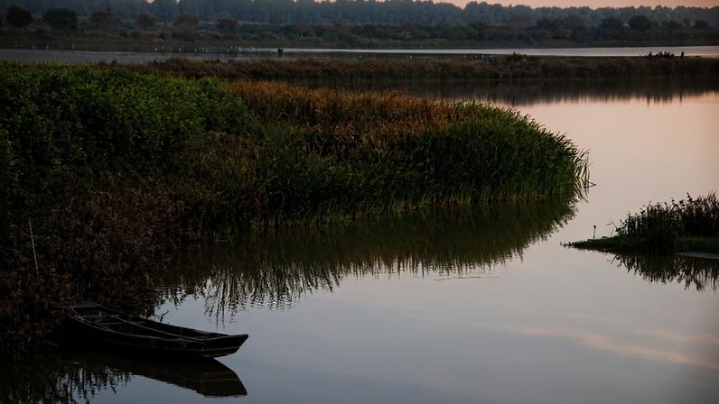 Nansha Wetlands Park, China. Image by Sam May via Flickr (CC BY 2.0).