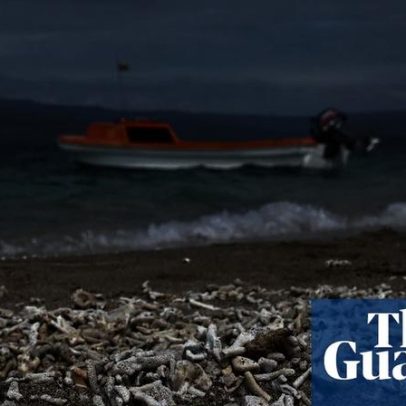 Crise climática na ONU mostra impulso político em crescimento, dizem especialistas