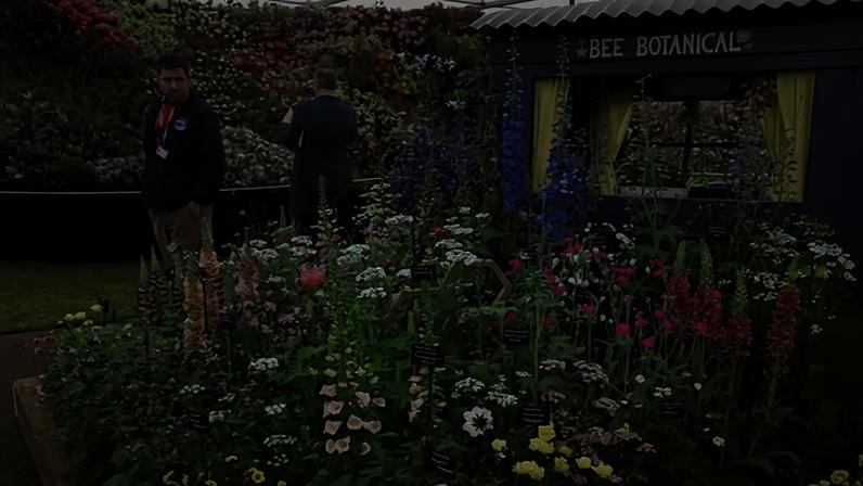 RHS enfrenta oposição conservadora por uso de turfa no Chelsea Flower Show