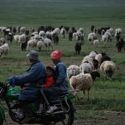 Pastagens mais verdes atraem trabalhadores chineses presos ao 996