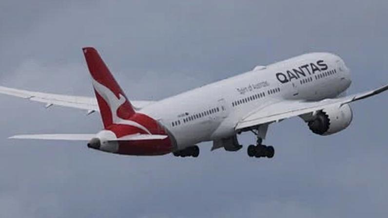 Passengers and crew came to the assistance of the flight attendant during the alleged biting incident, a Qantas spokesperson said.
