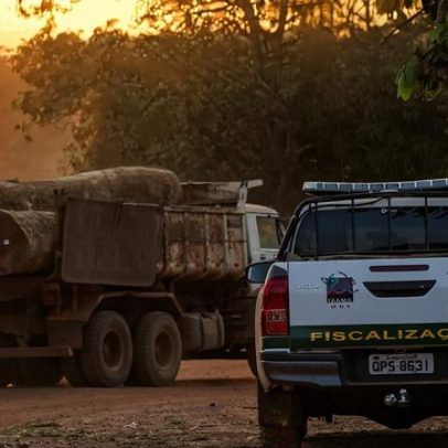 Congresso aprova projeto que proíbe uso de satélite de desmatamento da Amazônia