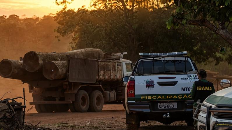 Congresso aprova projeto que proíbe uso de satélite de desmatamento da Amazônia