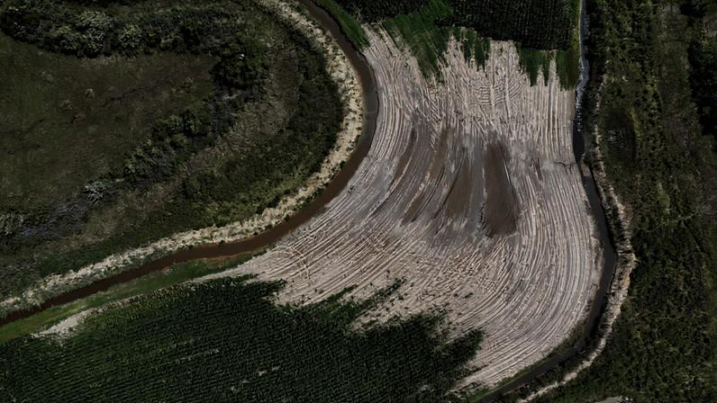 Risco de intrusão de água salgada em aquíferos costeiros é global, diz estudo