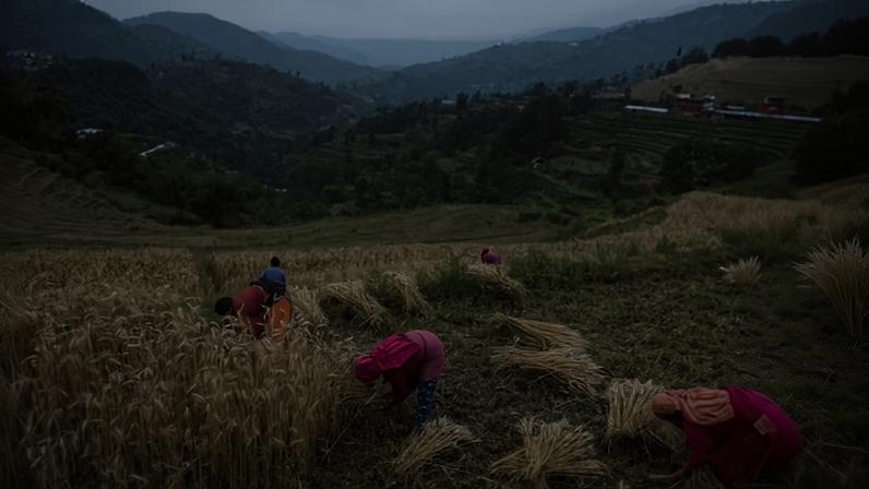 Liberação de fertilizantes para evitar crise alimentar global diz Cooper
