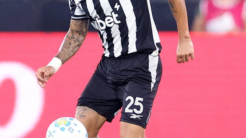 Allan se lesionou na derrota do Botafogo para o Remo (Foto: Vítor Silva/Botafogo)