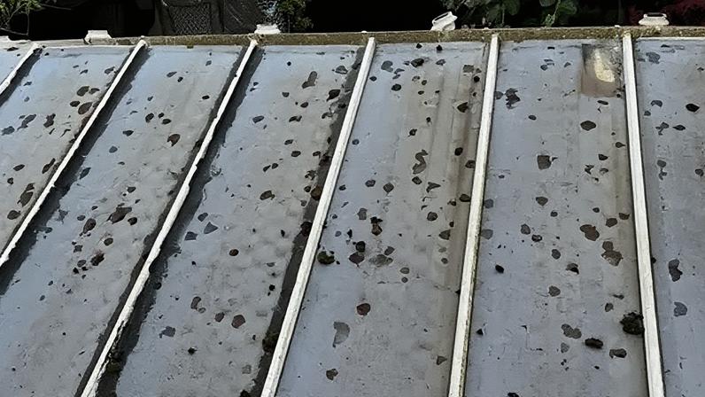 Mandy Milsom said it would be "impossible" to count the holes in her conservatory roof