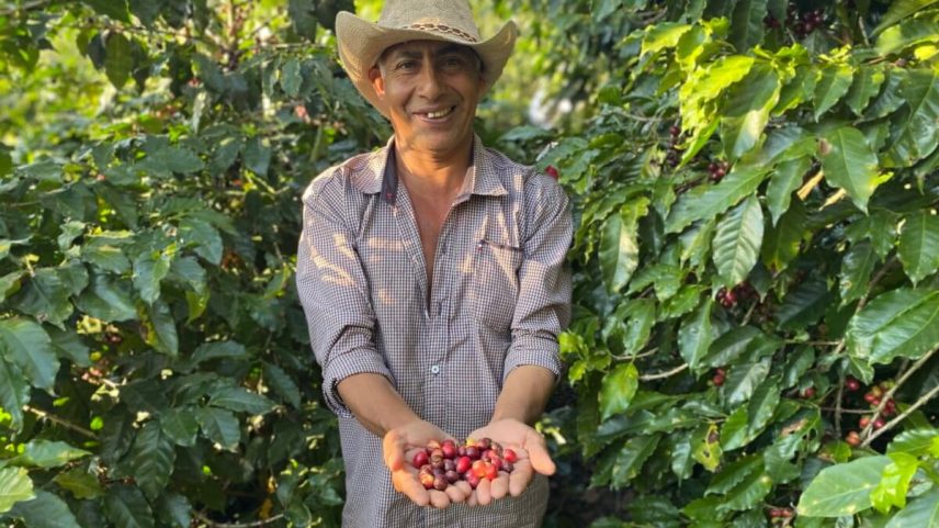 Lei de desmatamento da UE pode deixar cafeicultores hondurenhos para trás