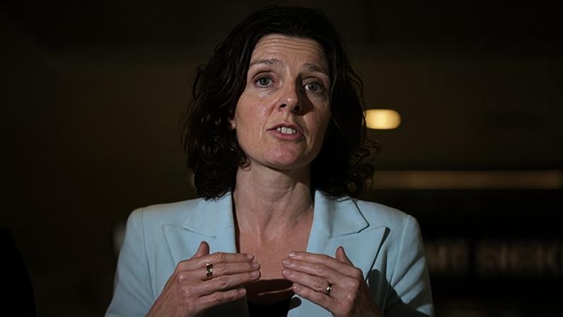 The member for Wentworth, Allegra Spender, is reportedly among a group of independent MPs considering forming a new political party.
