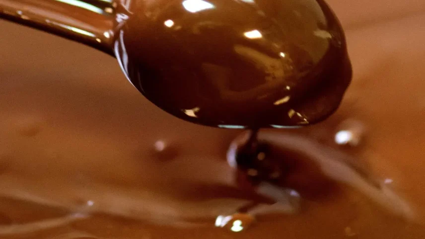 Governo define teor mínimo de cacau e exige rótulos mais claros no chocolate