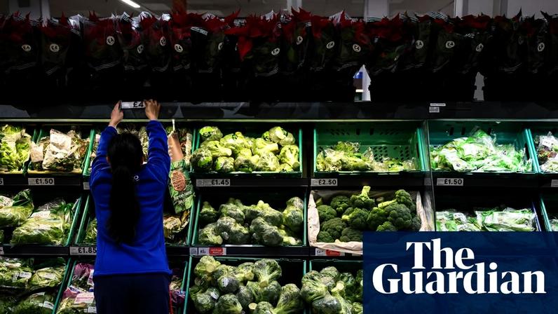 Reino Unido caminha para crise alimentar sem ação urgente, dizem especialistas