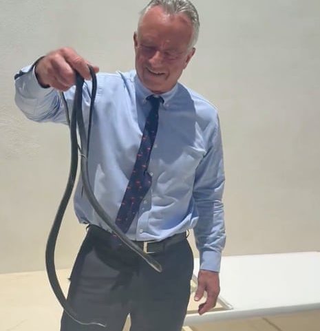 Robert F Kennedy Jr hods a pair of black racer snakes.