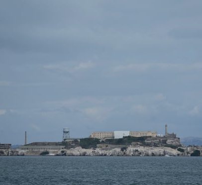 Coiote nadou 2 milhas até a Ilha de Alcatraz, surpreendendo cientistas