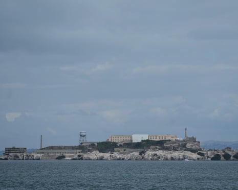 Coiote nadou 2 milhas até a Ilha de Alcatraz, surpreendendo cientistas
