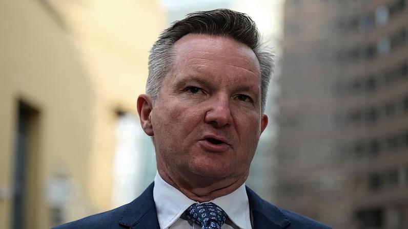 Chris Bowen has reacted to the BHP files