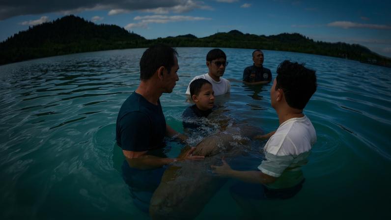 Tipusa Sangsawang, coordinator of Koh Libong’s Dugong Guardians network, uses a drone to monitor local dugong numbers. Image by Carolyn Cowan for Mongabay.