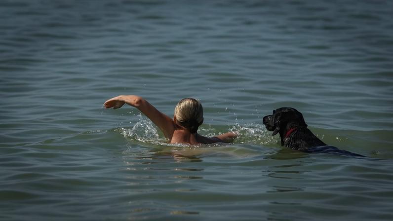 Mulher se refresca no mar junto de seu cachorro em Brighton, sul da Inglaterra, em meio a temperaturas recordes para um mês de maio – foto: Ben Stansall/AFP