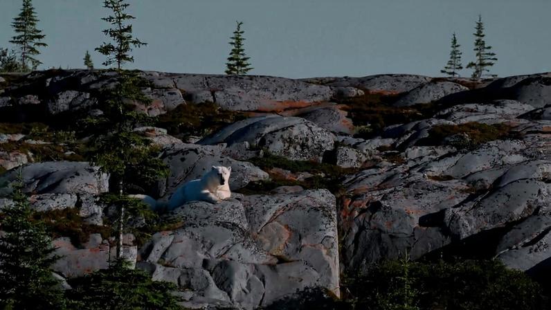 Canada mira dobrar rede elétrica até 2050 com energia limpa e custos menores