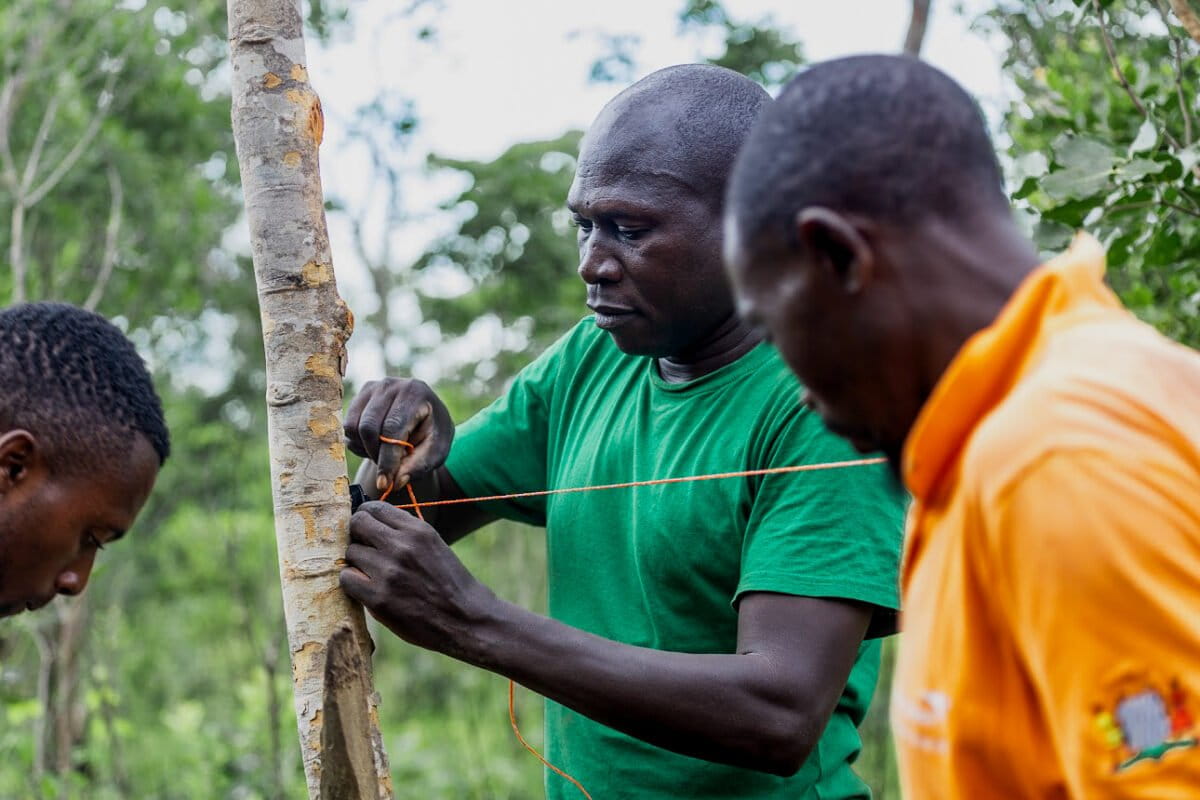 Installing an IFAW-supported temporary solar fence in Chikomeni chiefdom, within the Malawi-Zambia Transfrontier Conservation Area, to deter human-elephant conflict. Image courtesy of IFAW.