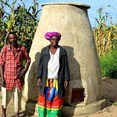 Elefantes retornam ao leste da Zâmbia e comunidades cultivam convivência