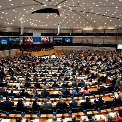Comissão Europeia ligou couro ao desmatamento e não agiu