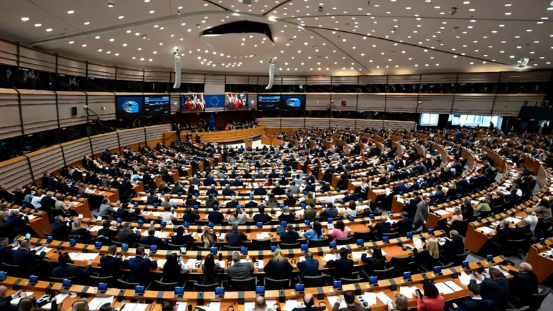 Comissão Europeia ligou couro ao desmatamento e não agiu