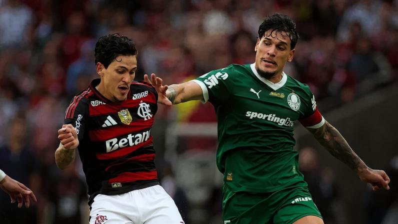 Flamengo x Palmeiras pelo Campeonato Brasileiro (Foto: Adriano Fontes/Flamengo)