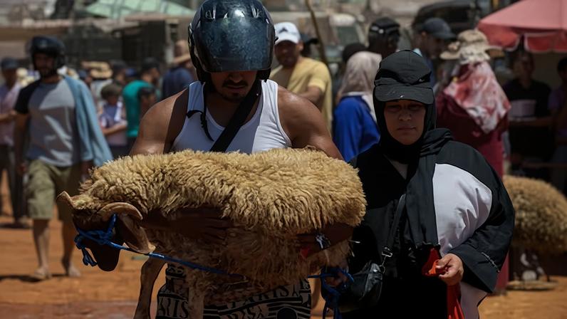 Mercado de corderos en Temara, a las afueras de Rabat, el 24 de mayo.