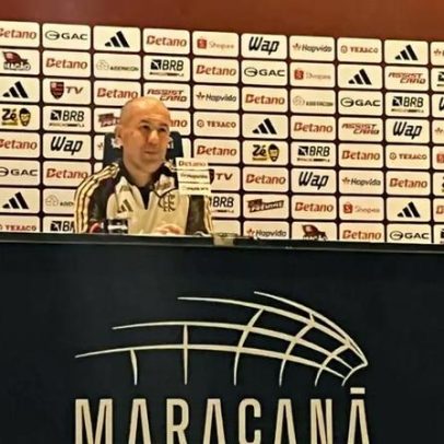 Jardim analisa temporada do Flamengo antes da pausa: buscava mais pontos