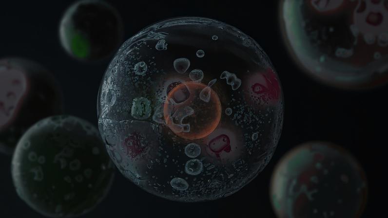 Stylized cell with nucleus and glowing droplets inside