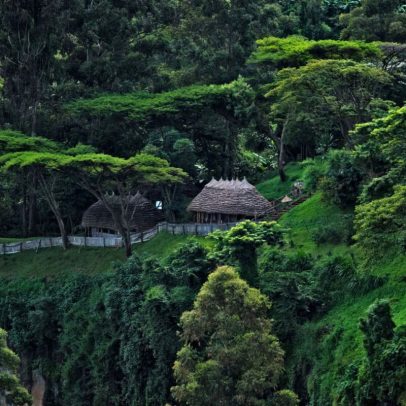 Elefantes voltam ao lado de Mount Elgon, Uganda, após quatro décadas