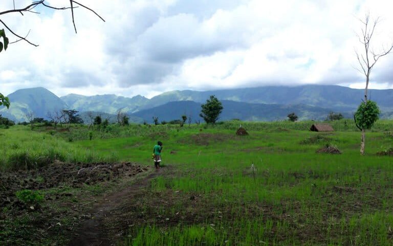 The Nimba mountain range as seen from southern Guinea. Image by Maarten van der Bent via Flickr (CC BY-SA 2.0).