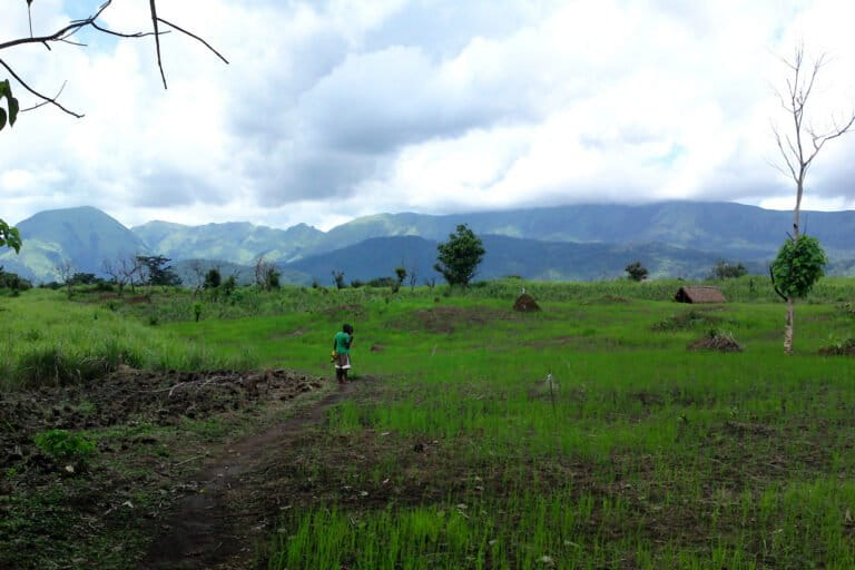 The Nimba mountain range as seen from southern Guinea. Image by Maarten van der Bent via Flickr (CC BY-SA 2.0).